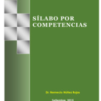 Sílabo Por Competencias